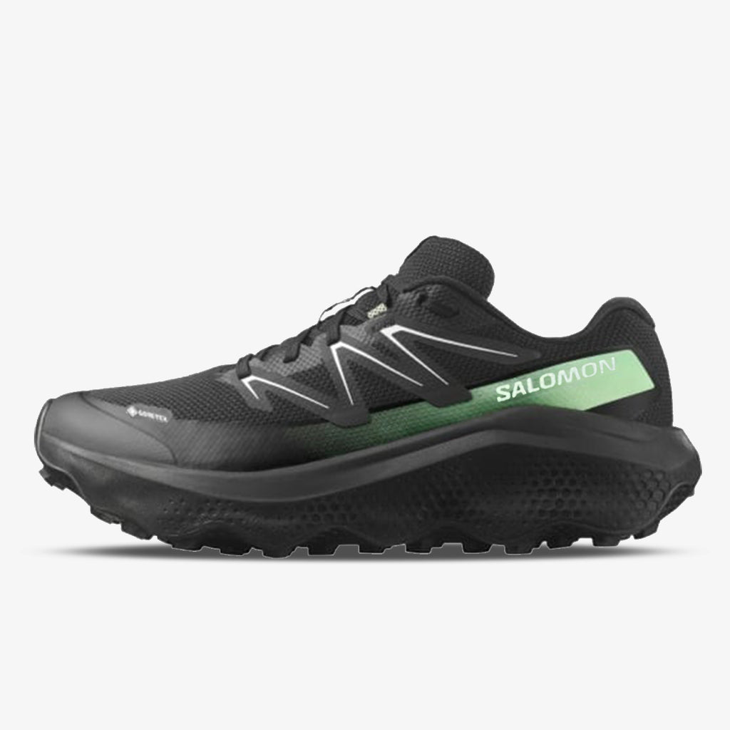 Salomon Ultra Flow 2 GTX muške tenisice za trail trčanje L47981400