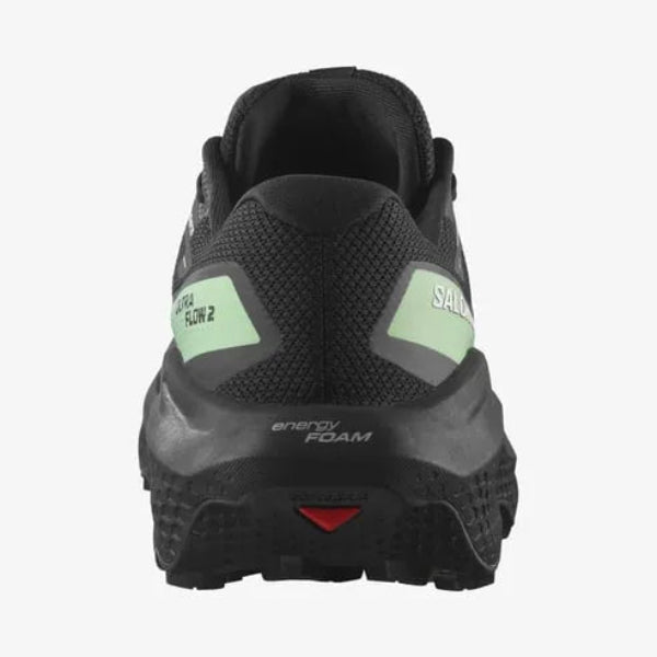 Salomon Ultra Flow 2 GTX muške tenisice za trail trčanje L47981400